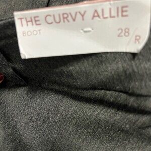 SOLD 

Lane Bryant Lane Bryant Allie Dress Pant Womens 28R Charcoal Gray Bootcut